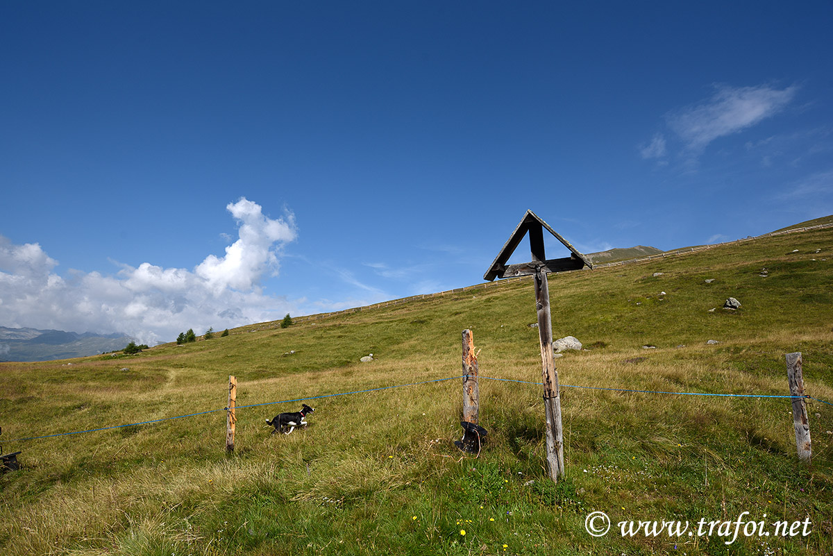 ../Escursioni2/Lago_Pedrossi/010066_D750.jpg