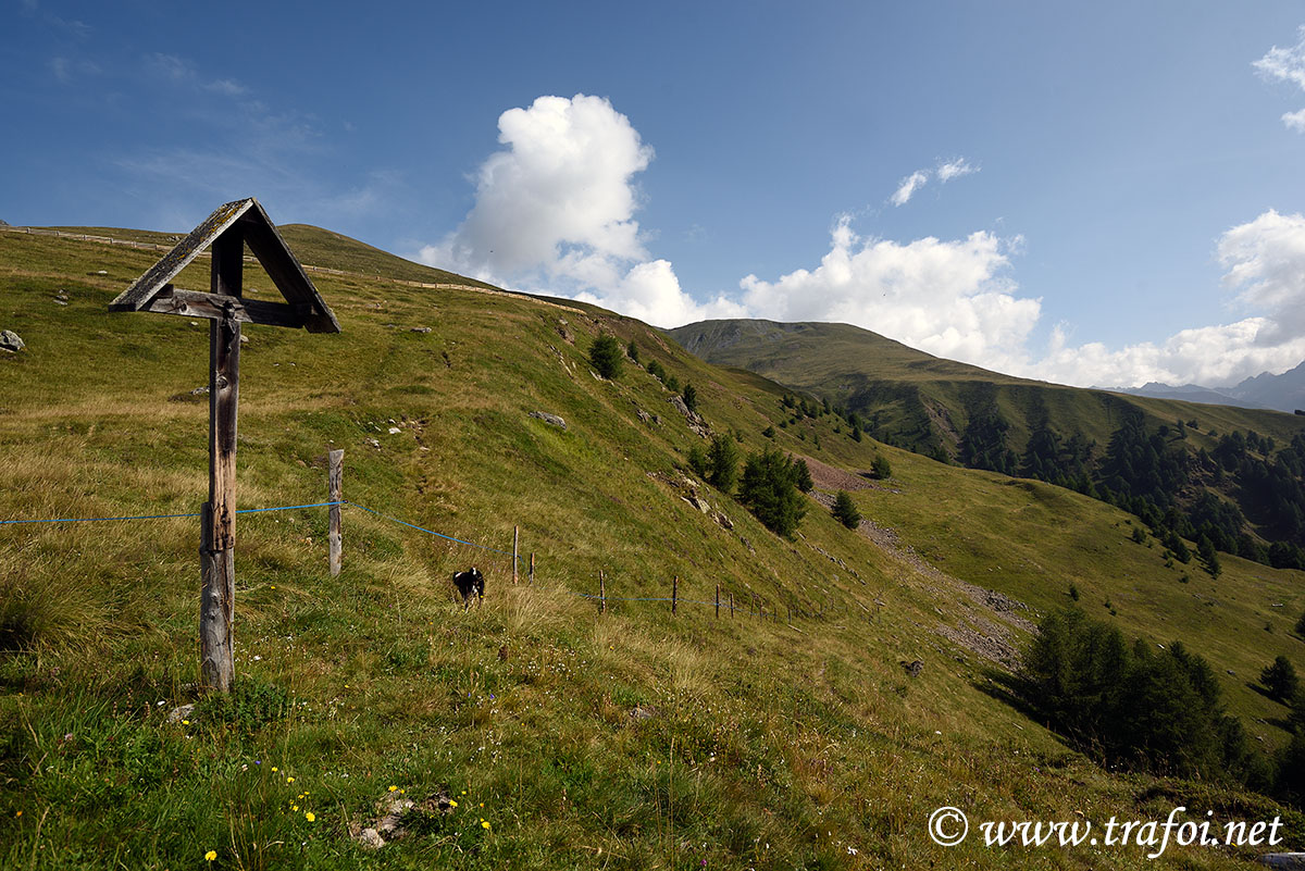 ../Escursioni2/Lago_Pedrossi/010069_D750.jpg