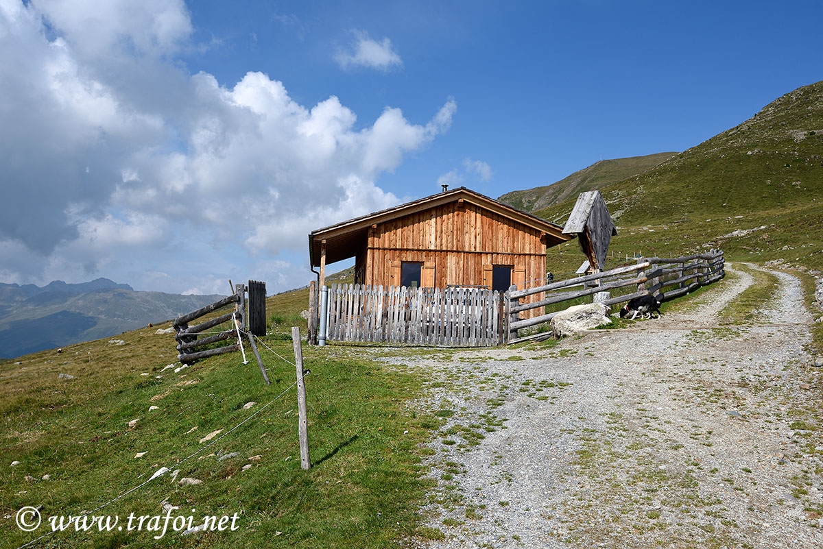 ../Escursioni2/Lago_Pedrossi/010072_D750.jpg