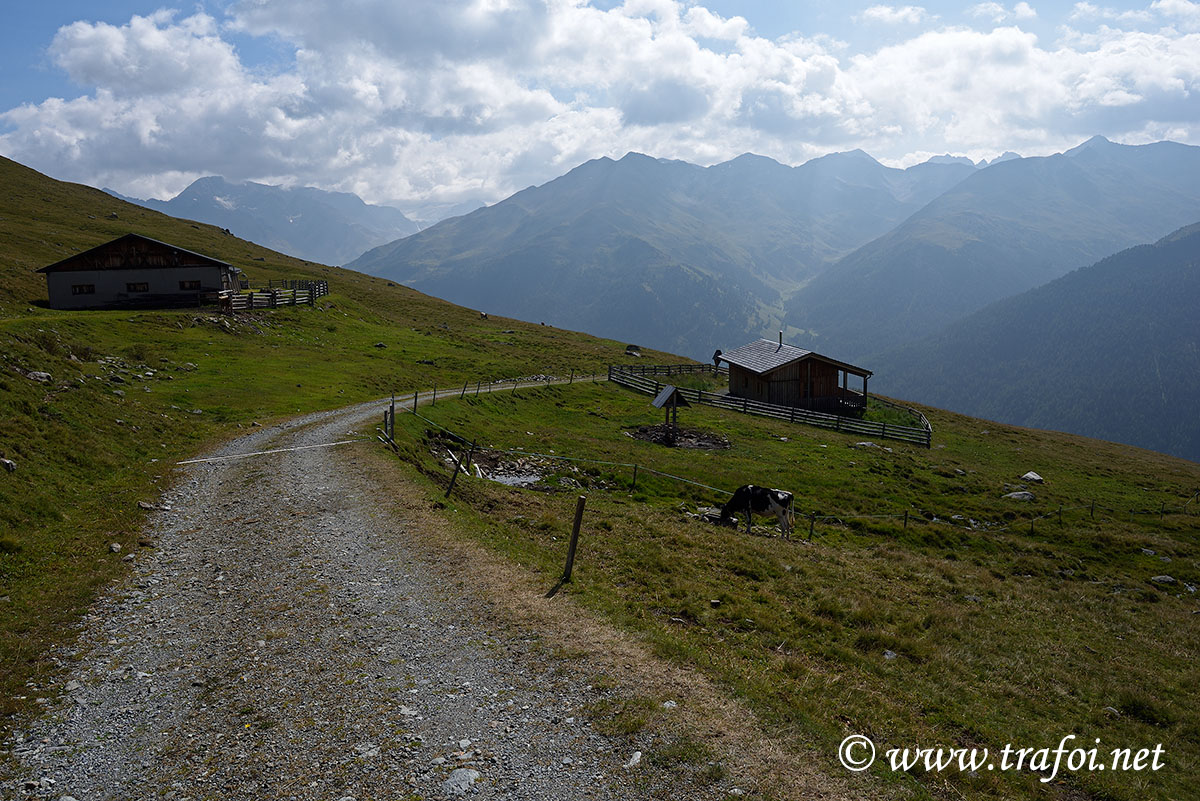 ../Escursioni2/Lago_Pedrossi/010080_D750.jpg