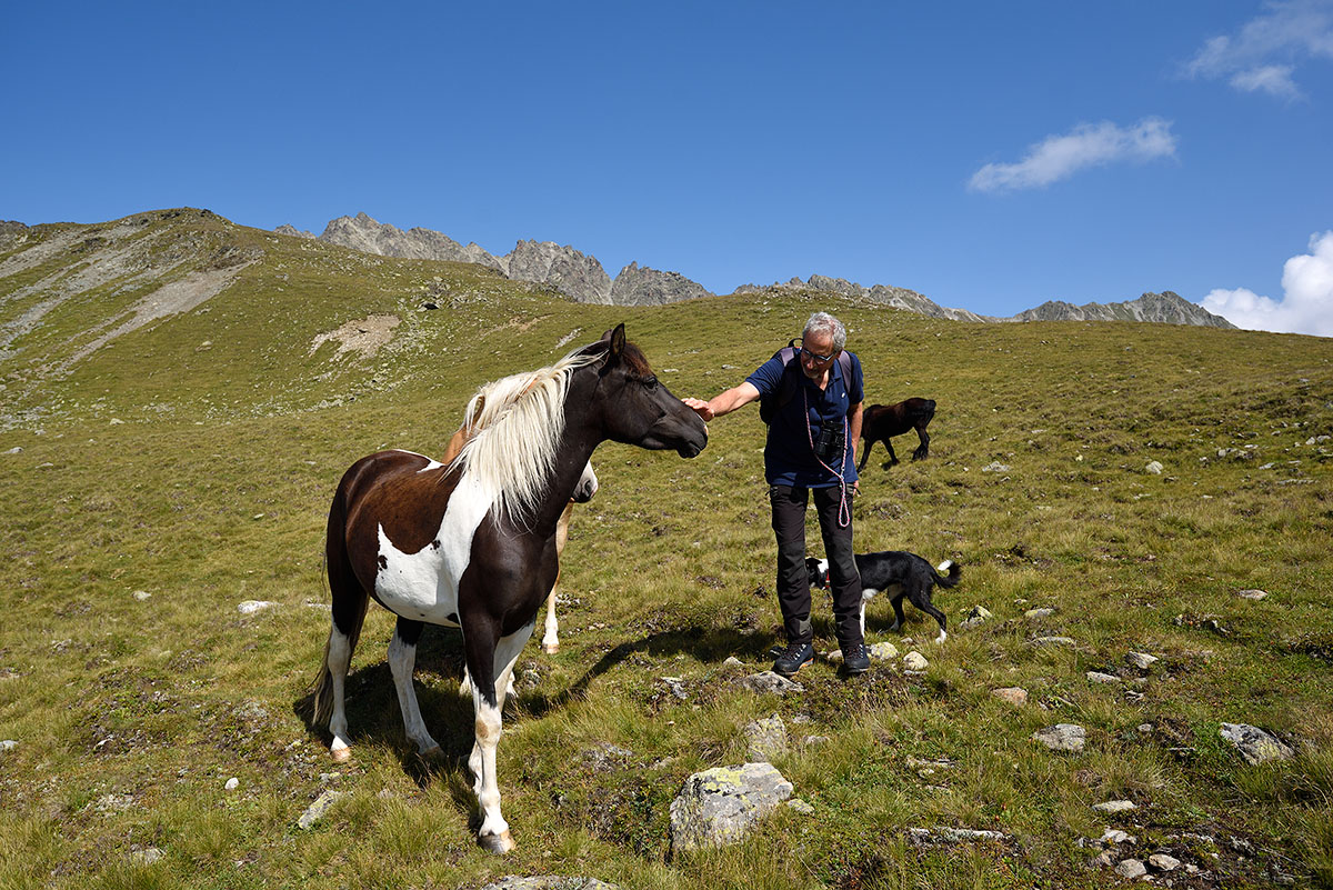 ../Escursioni2/Lago_Pedrossi/010108_D750.jpg