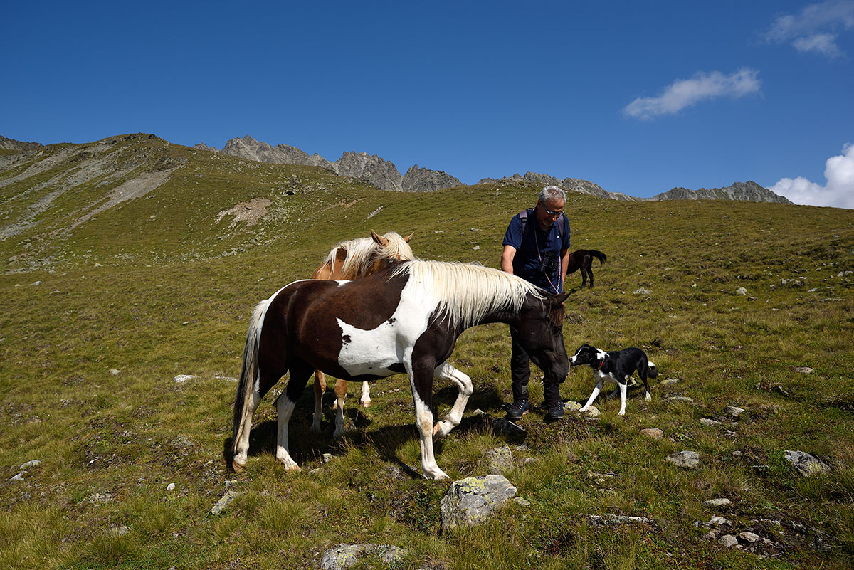 ../Escursioni2/Lago_Pedrossi/010109_D750.jpg