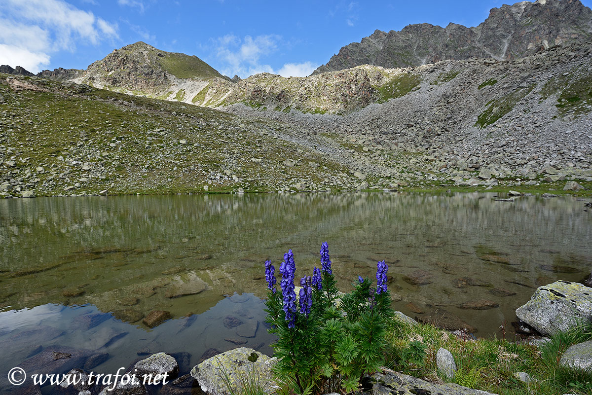 ../Escursioni2/Lago_Pedrossi/010137_D750.jpg