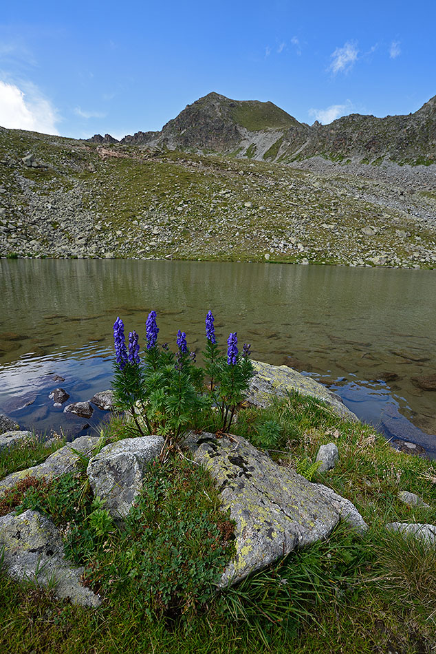 ../Escursioni2/Lago_Pedrossi/010146_D750.jpg