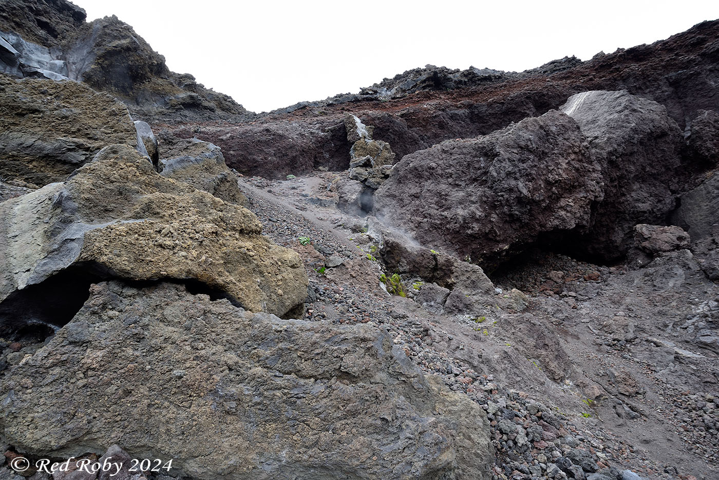 ../Viaggi/Etna/010498_D750.jpg