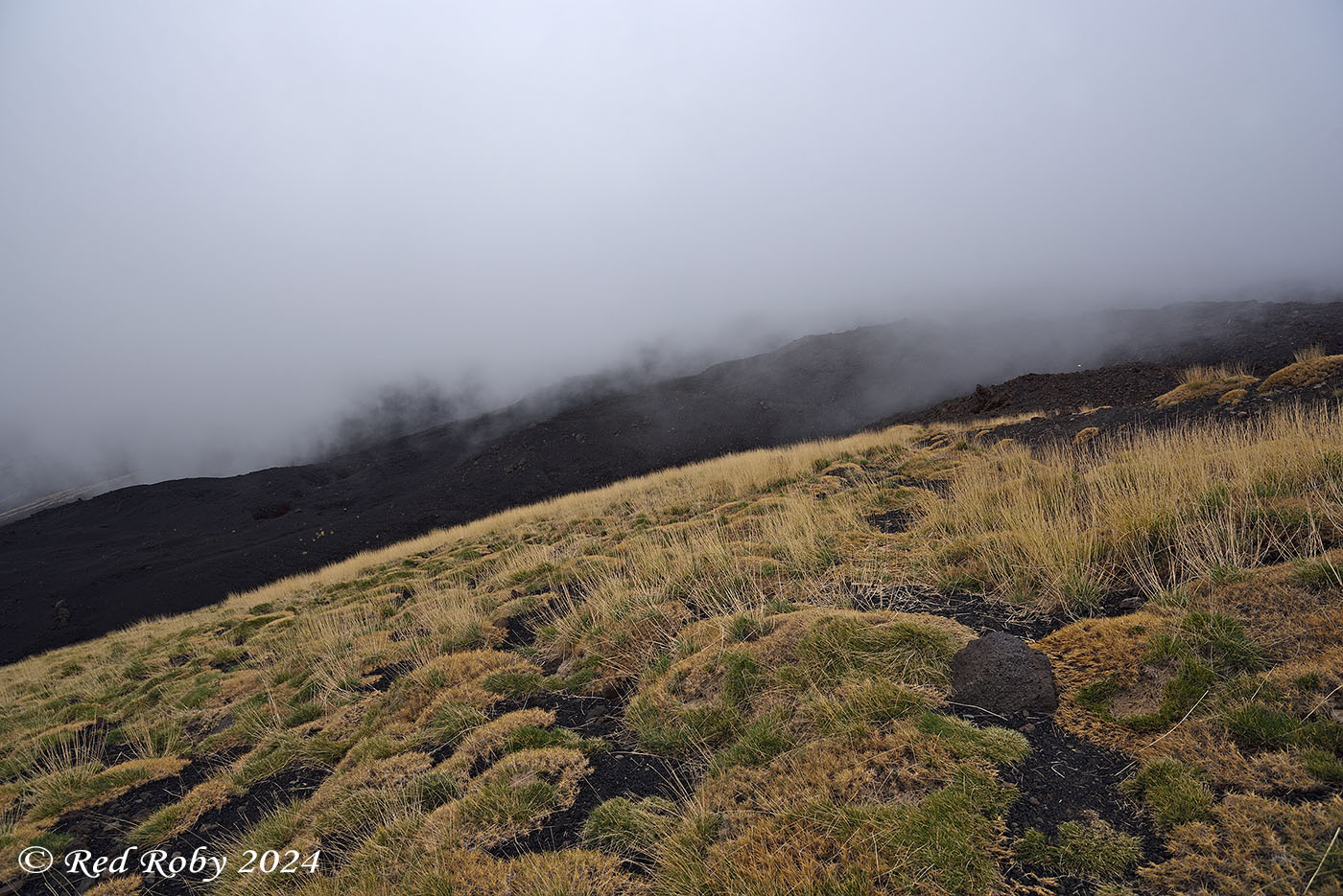 ../Viaggi/Etna/010510_D750.jpg