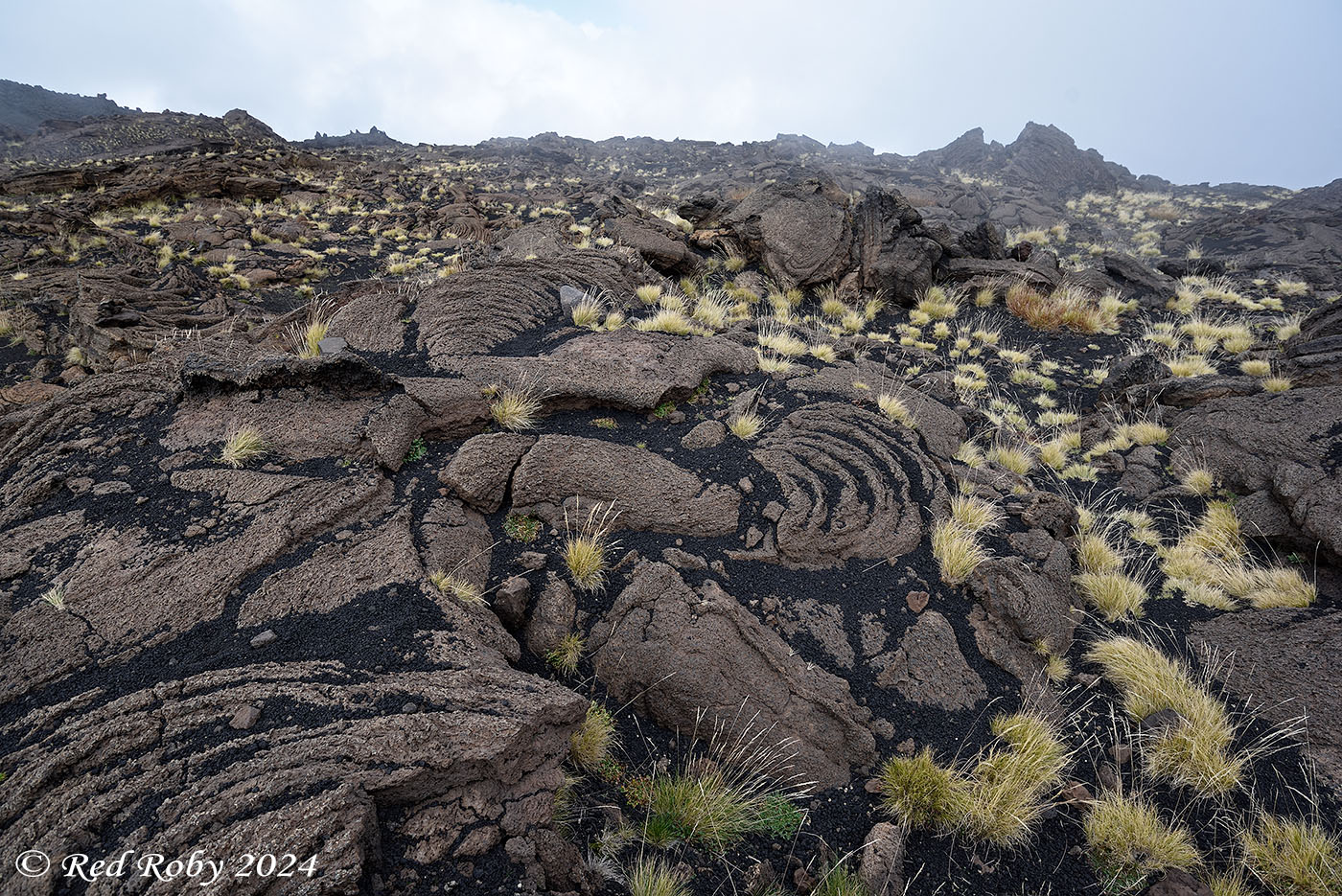 ../Viaggi/Etna/010518_D750.jpg