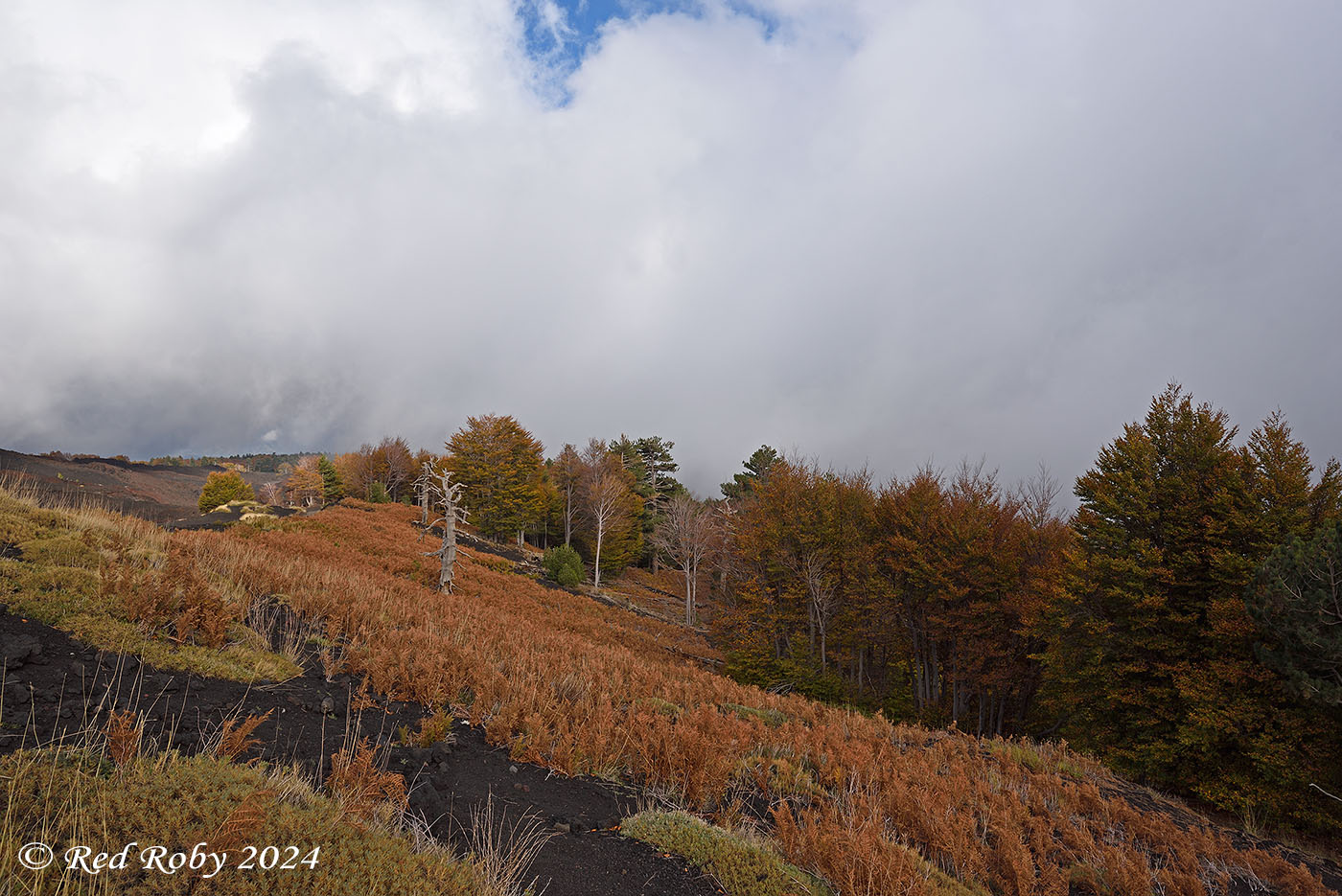 ../Viaggi/Etna/010531_D750.jpg