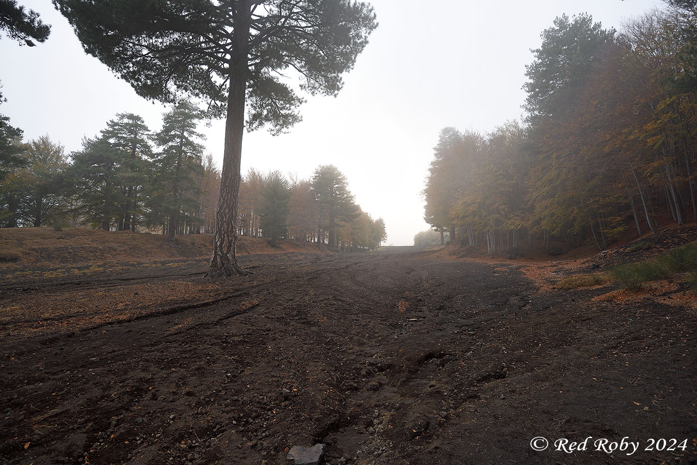 ../Viaggi/Etna/010534_D750.jpg