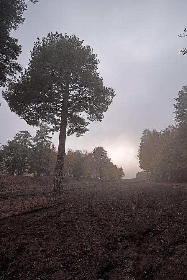 ../Viaggi/Etna/010535_D750.jpg