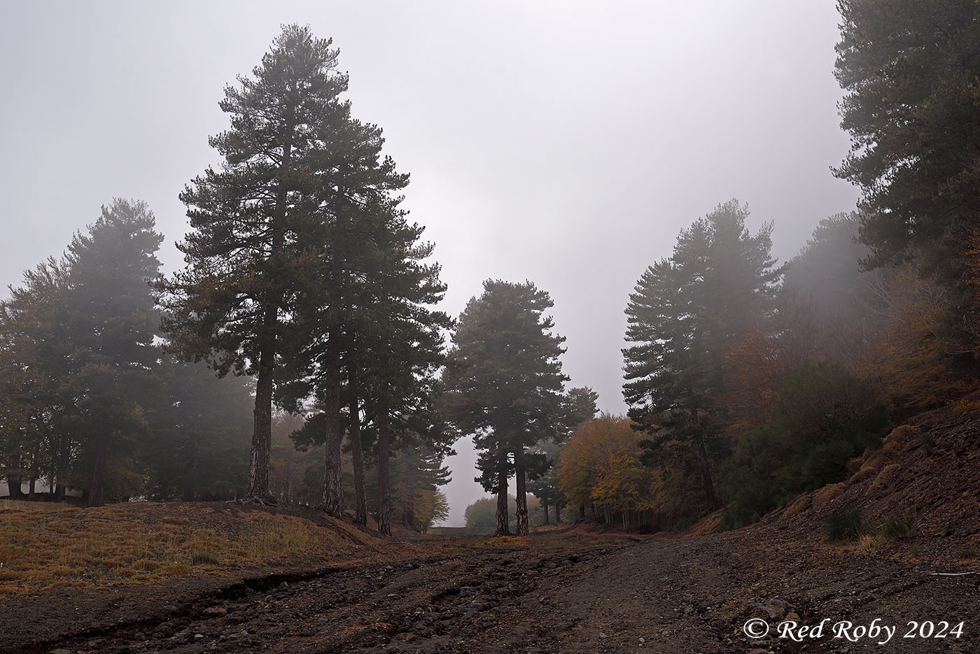 ../Viaggi/Etna/010536_D750.jpg