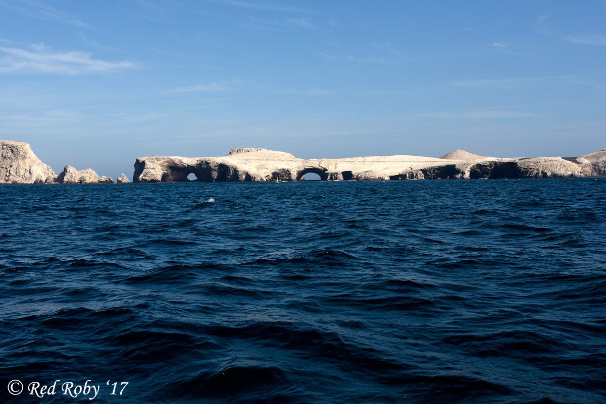 ../Peru/Ballestas_21105.jpg