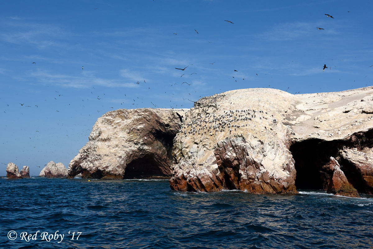 ../Peru/Ballestas_21111.jpg