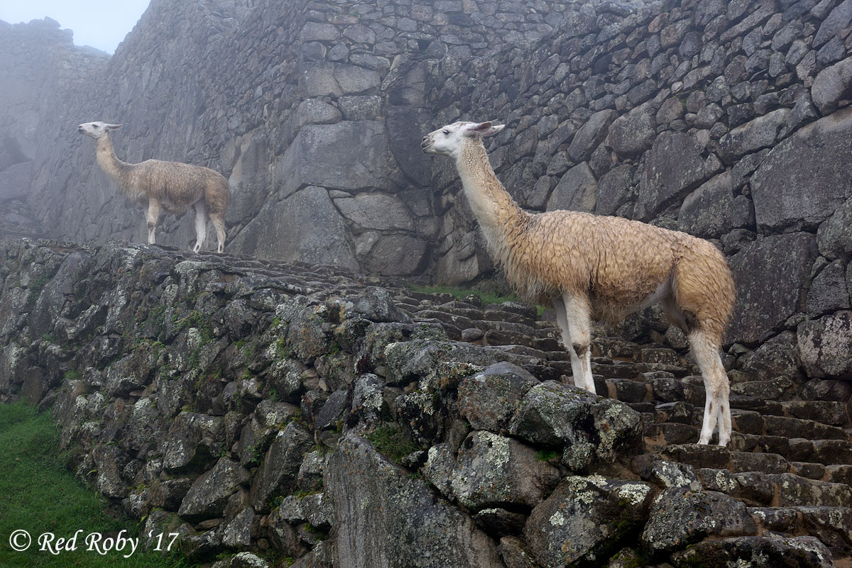 ../Peru/Machu_Picchu_22163.jpg