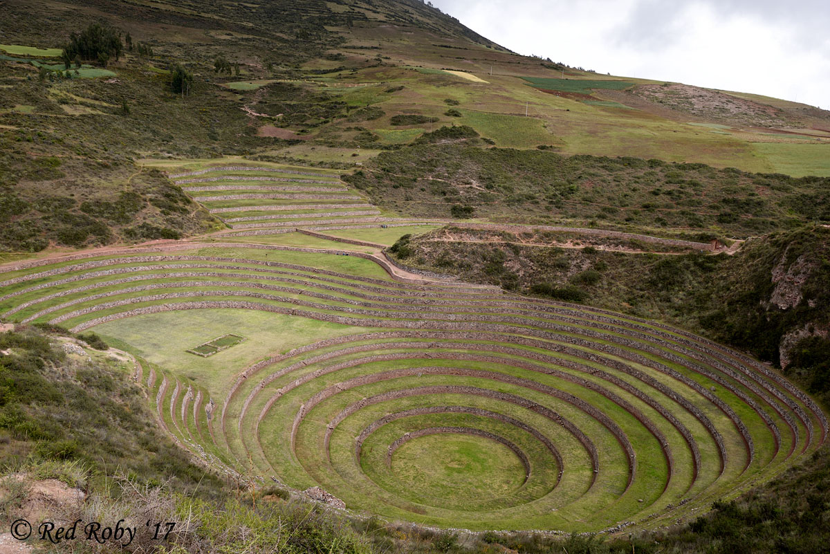 ../Peru/Moray_21981.jpg