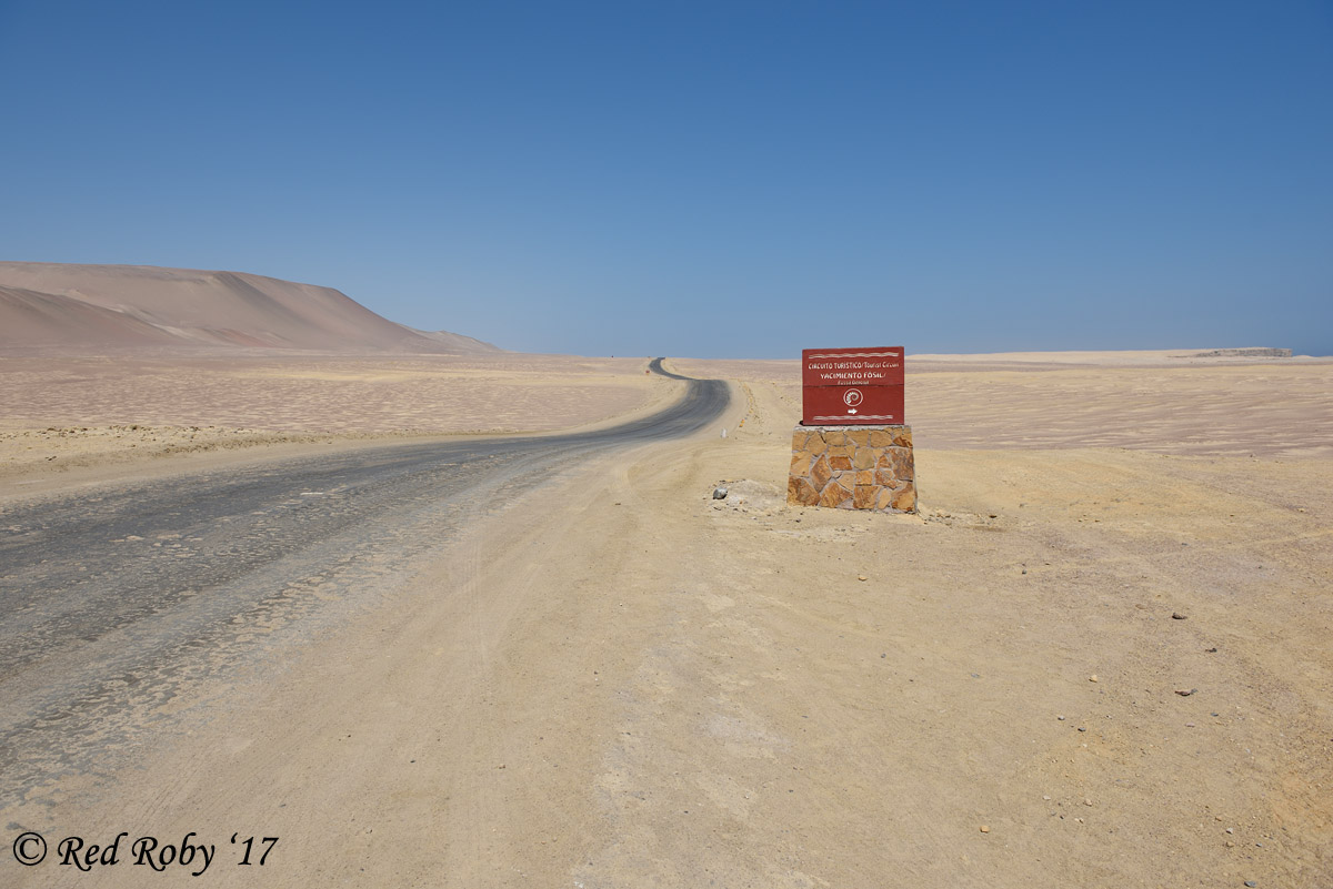 ../Peru/Paracas_20859.jpg