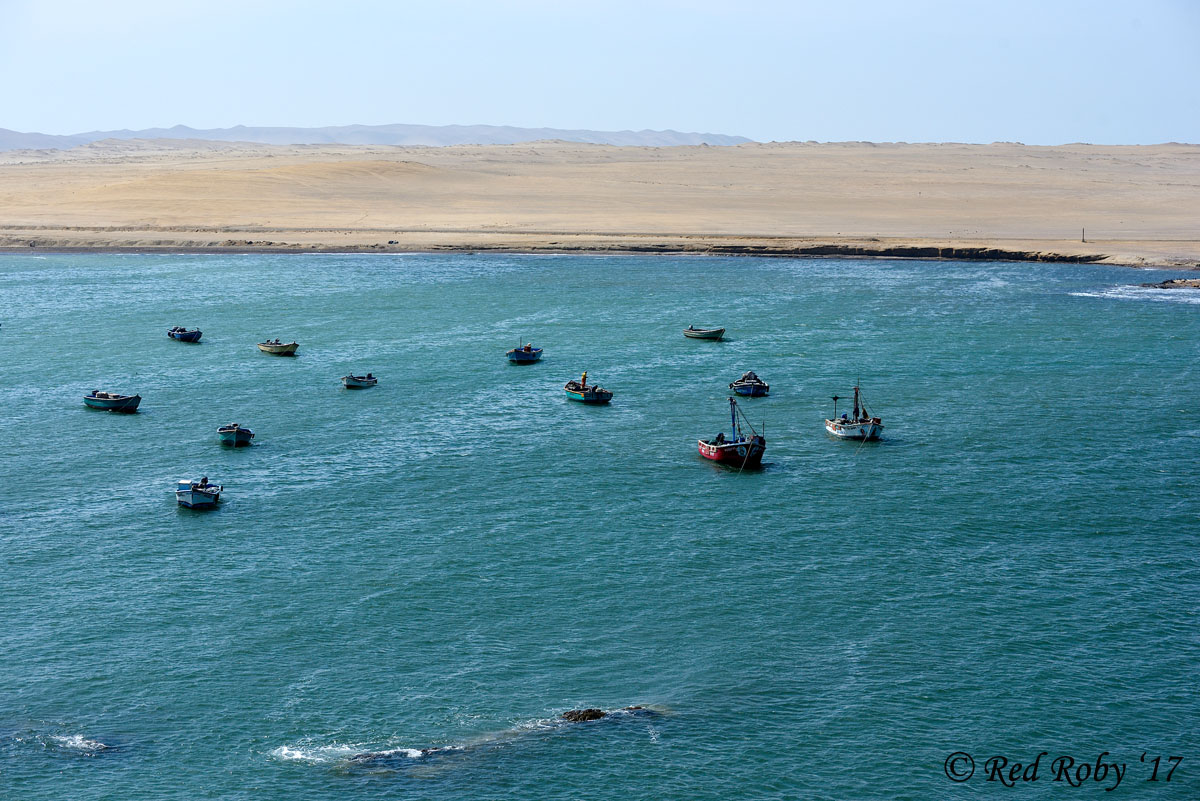 ../Peru/Paracas_20993.jpg