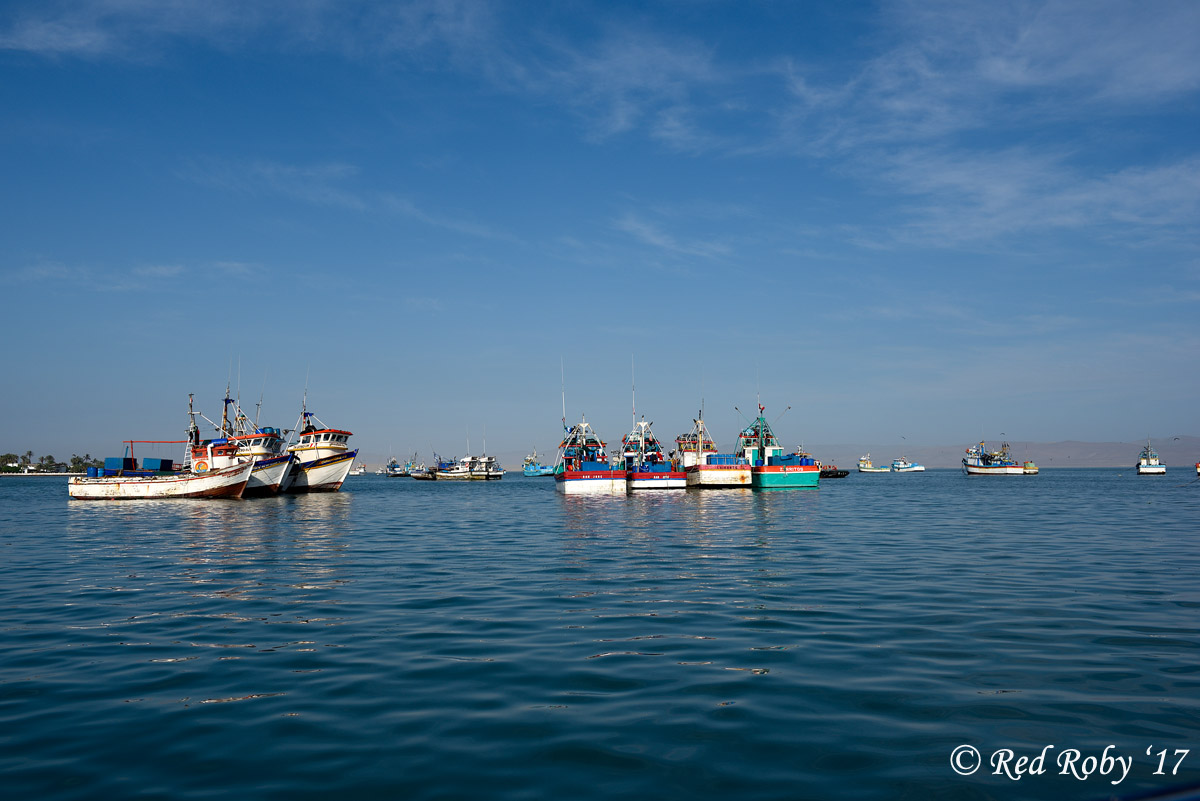 ../Peru/Paracas_21023.jpg