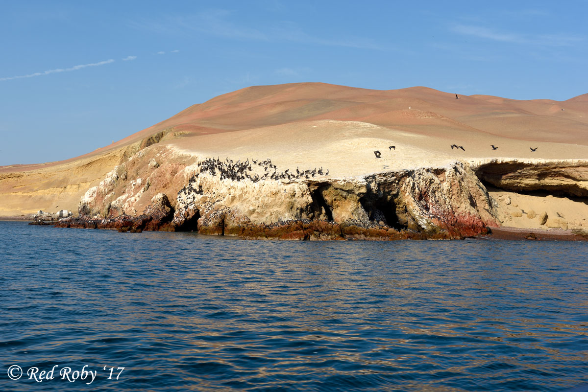 ../Peru/Paracas_21039.jpg