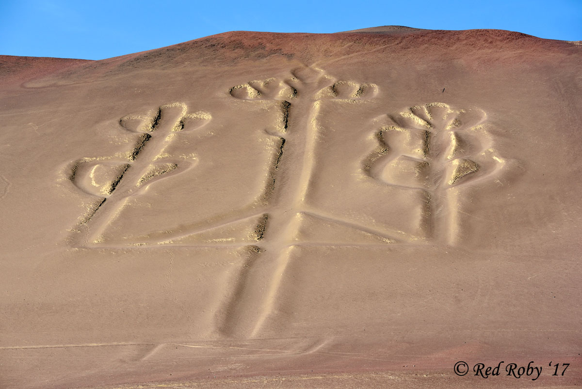 ../Peru/Paracas_21071.jpg