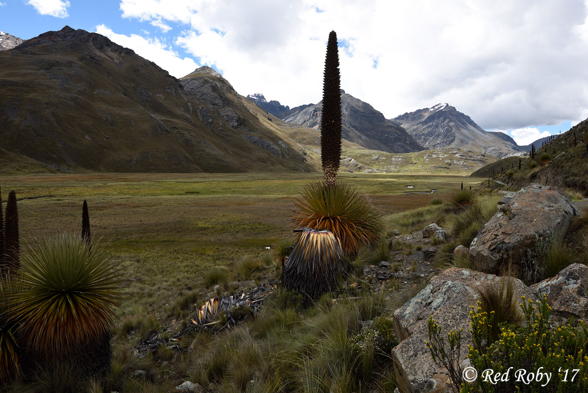 ../Peru/Pastoruri_22590.jpg